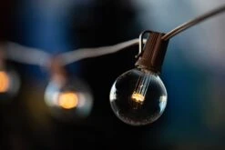 Warm White LED G50 Globe Bulbs - 25pk -Christmas Lights Series 0032292 warm white led g50 globe bulbs 25pk