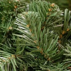 9' Lighted Deluxe Colorado Pine Garland -Christmas Lights Series 0032350 9 lighted deluxe colorado pine garland