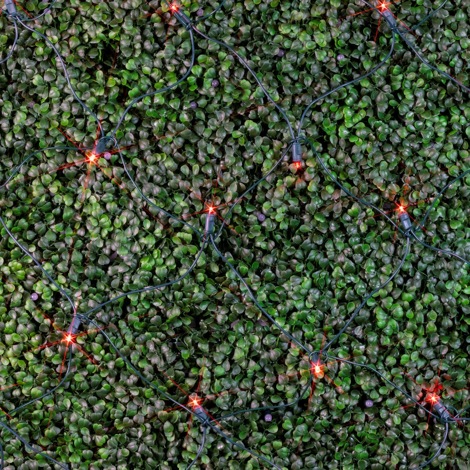 Red LED Net Lights 4x6 Green Wire 5 Red LED Net Lights 4x6 Green Wire - Image 5