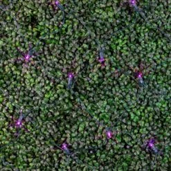 Purple LED Net Lights 4x6 Green Wire 9 Purple LED Net Lights 4x6 Green Wire -Christmas Lights Series 0032472 purple led net lights 4x6 green wire