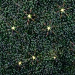 Warm White LED Net Lights 4x6 Black Wire -Christmas Lights Series 0032486 warm white led net lights 4x6 black wire