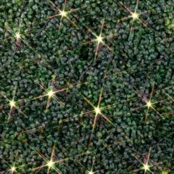 Warm White LED Net Lights 2x10 Brown Wire -Christmas Lights Series 0032491 warm white led net lights 2x10 brown wire