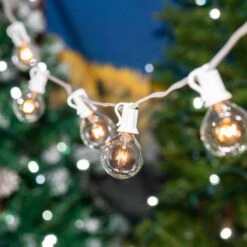 100 G40 Globe String Light Set With Clear Bulbs On White Wire 17 100 G40 Globe String Light Set With Clear Bulbs On White Wire -Christmas Lights Series 0032629 100 g40 globe string light set with clear bulbs on white wire