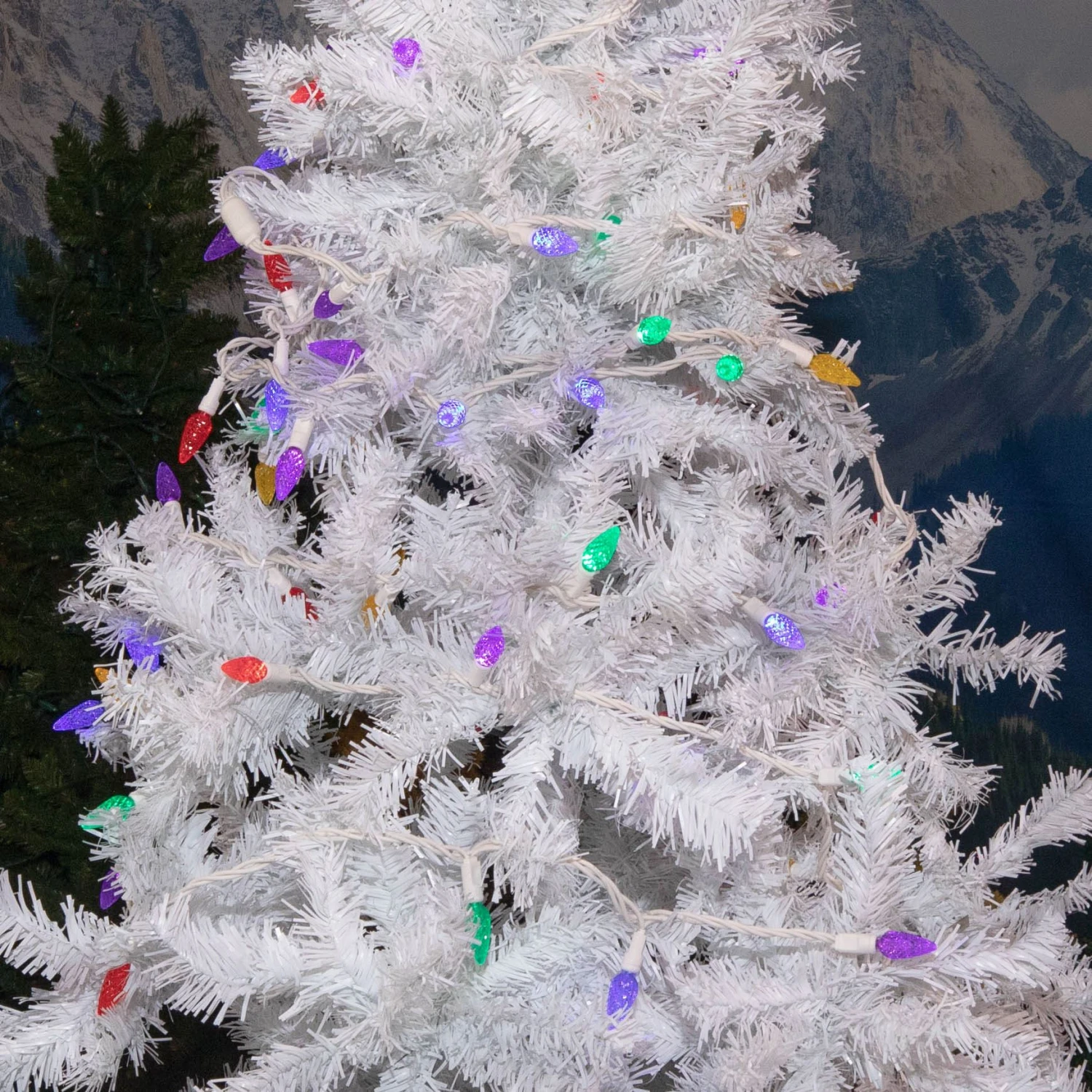 Rainbow 70 LED C6 Strawberry Mini Lights Commercial Grade On White Wire 6 Rainbow 70 LED C6 Strawberry Mini Lights Commercial Grade On White Wire - Image 6