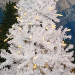 Warm White 70 LED C6 Strawberry Mini Lights Commercial Grade On White Wire -Christmas Lights Series 0032642 warm white 70 led c6 strawberry mini lights commercial grade on white wire