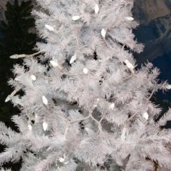 Pure White 70 LED C6 Strawberry Mini Lights Commercial Grade On White Wire -Christmas Lights Series 0032643 pure white 70 led c6 strawberry mini lights commercial grade on white wire