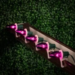 100 C9 Christmas Light Set - Purple Bulbs - Green Wire -Christmas Lights Series 0032779 100 c9 christmas light set purple bulbs green wire