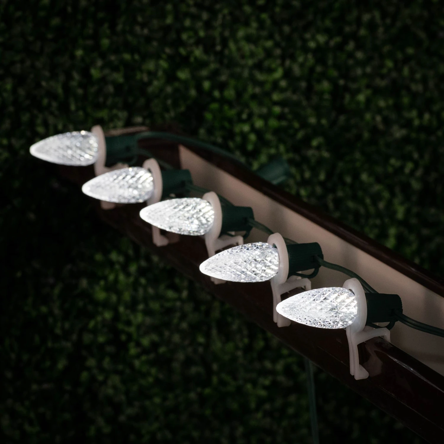 25 Pure White LED C9 Pre-Lamped String Lights Green Wire 8 25 Pure White LED C9 Pre-Lamped String Lights Green Wire - Image 8