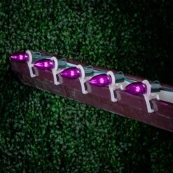 Purple Smooth Glass C9 LED Bulbs - 25pk -Christmas Lights Series 0032895 purple smooth glass c9 led bulbs 25pk