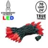 *NEW* True Twinkle Red 70 LED C6 Strawberry Mini Lights Commercial Grade On Green Wire