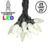 25 Warm White LED C9 Pre-Lamped String Lights Black Wire