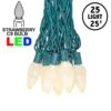 25 Warm White LED C9 Pre-Lamped String Lights Green Wire