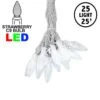 25 Pure White LED C9 Pre-Lamped String Lights On White Wire