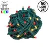Commercial Grade Wide Angle 50 LED Red/Warm White 25' Long On Green Wire