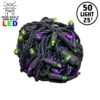 Commercial Grade Wide Angle 50 LED Purple/Lime 25' Long On Black Wire