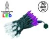 Purple And Pure White 70 LED C6 Strawberry Mini Lights Commercial Grade Green Wire